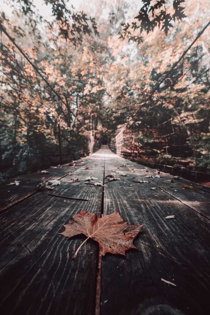 Bryan Minear