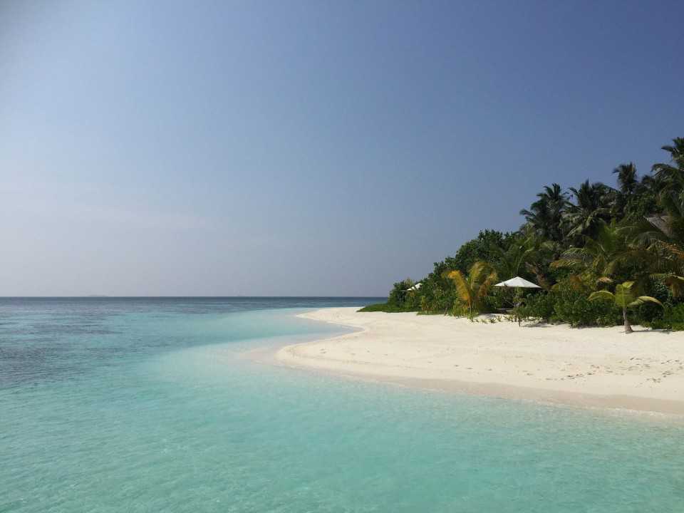 Love Maldivess