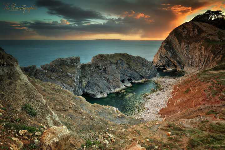 The Narratographer