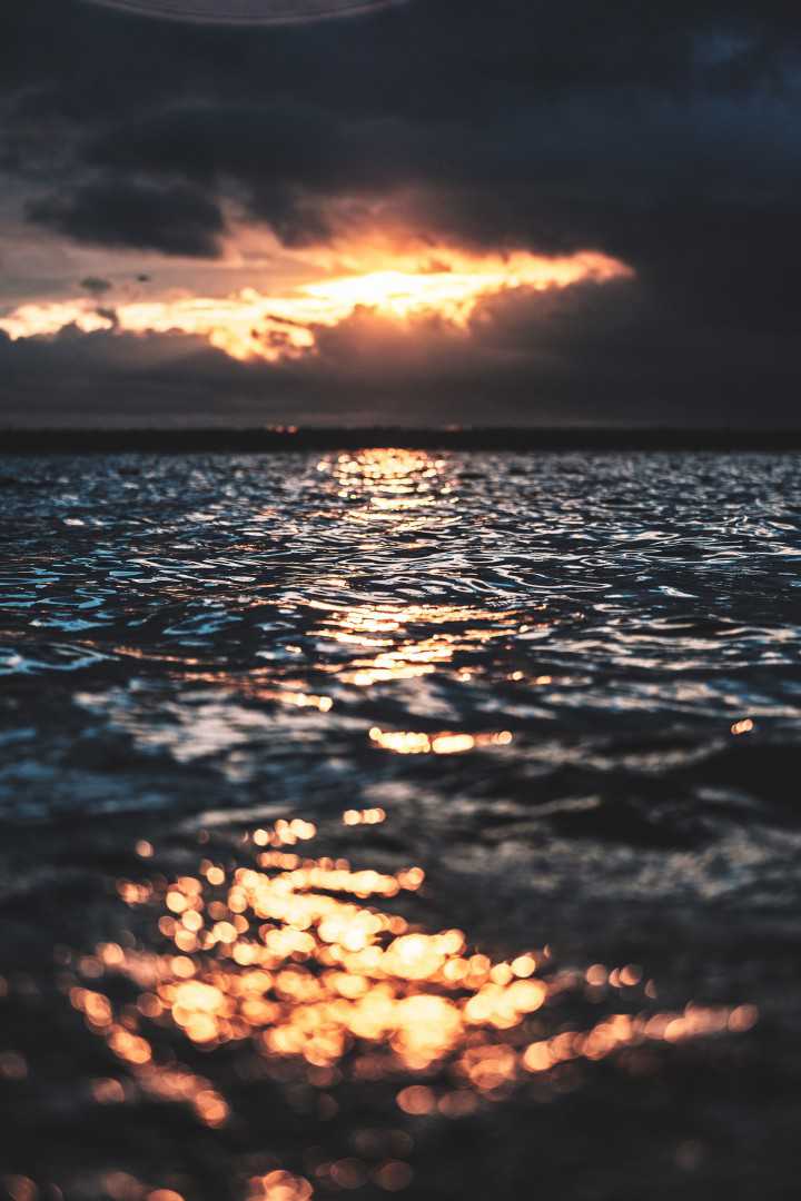 Bryan Minear