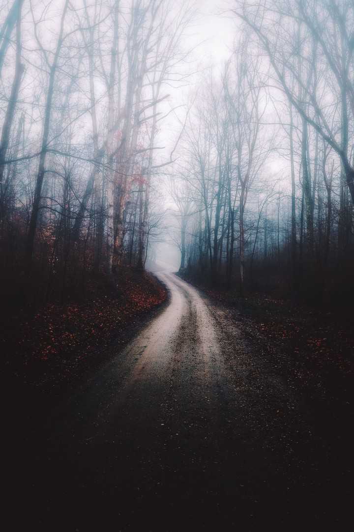 Bryan Minear